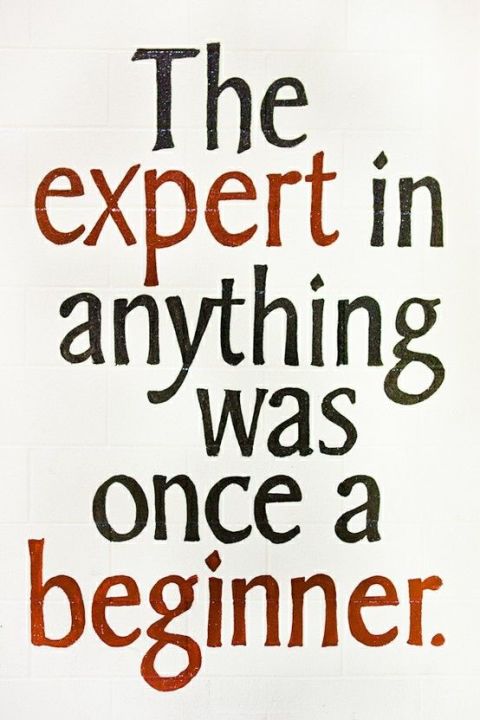 expert-beginner